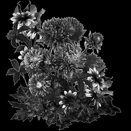 Цветы № XU.575