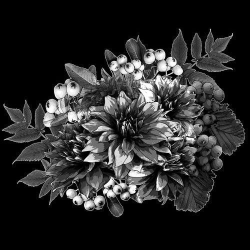 Цветы № XU.574